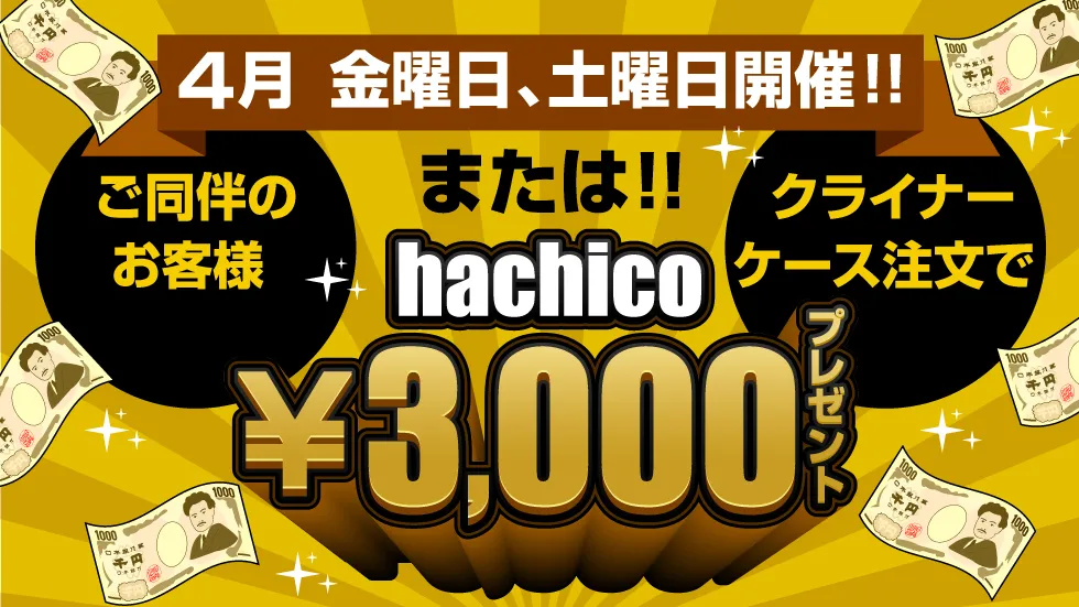 hachico3,000円プレゼント